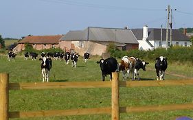 Courtbrook Farm